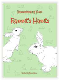 Understanding your Rabbit's Habits