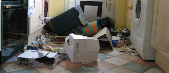 Rabbit destrustion Rabbit destrustion