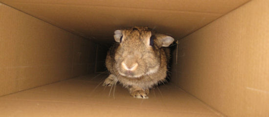 IMG_1883 IMG_1883