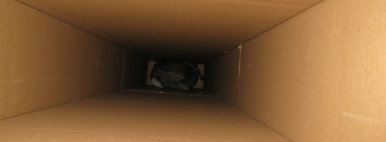 IMG_1884 IMG_1884