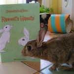 Scamp checking out the new book