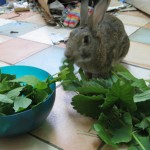 Just checking the flavour!