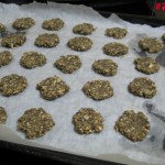 cooked treats for rabbit