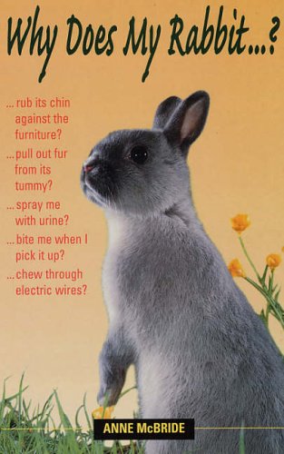 Why does my rabbit...? Anne McBride