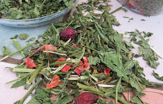 living world salad ingredient alfalfa, rose hip, carrot, dandelion