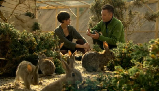 Someone has been planting new gorse bushes between takes!