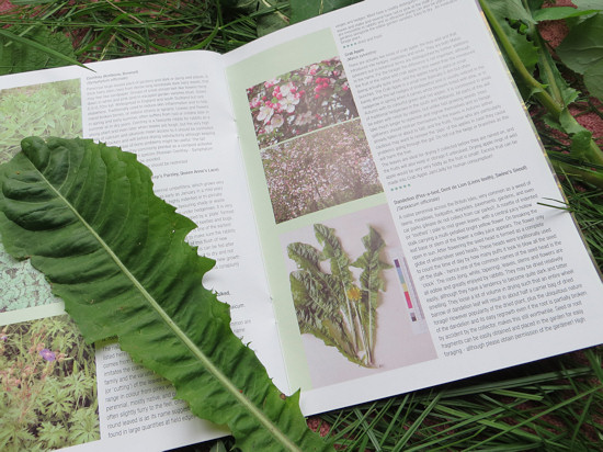 foraging book