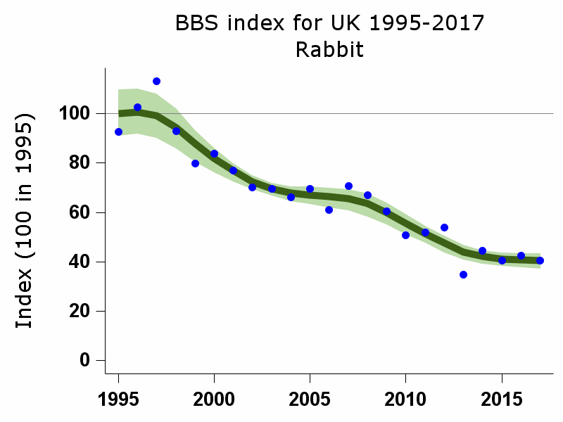 wild rabbit population uk