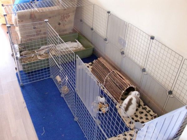 diy bunny playpen