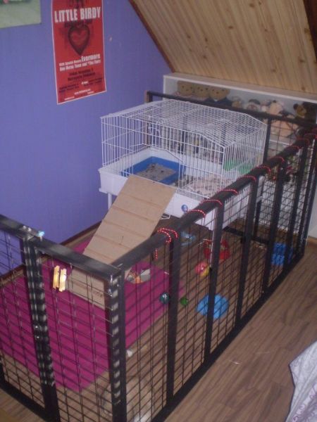 diy bunny playpen