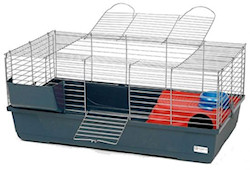 Indoor Rabbit Housing Options: Cages 