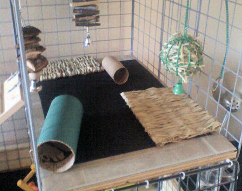 How to Build a Rabbit Cage Using Cubes - Advice for Indoor ...