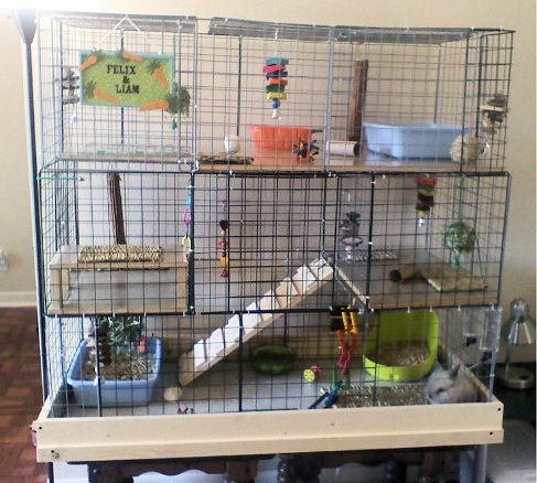 Designhouse on Cage Using Cubes   Advice For Indoor Rabbits From The Rabbit House