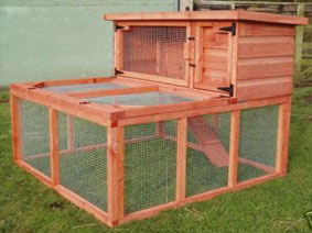 Outdoor Rabbit Hutch