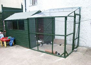 Outdoor Rabbit Sheds