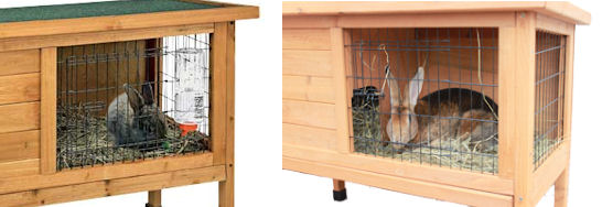 Small Rabbit Hutches - The Rabbit House