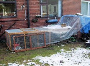 looking after a rabbit outdoors