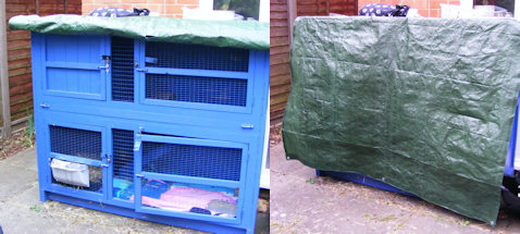 guinea pig thermal hutch cover