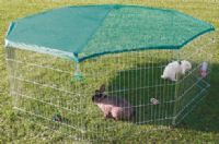 Rabbit Enclosure with Net