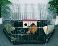 rabbit pen