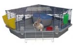 extra large rabbit hutch indoor