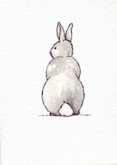 grey rabbit