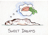 English spot rabbit sleeping