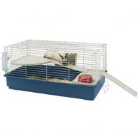 Rabbit 100 Duplex