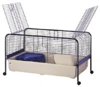 Cage Rabbit Joe